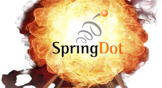 Springdot Inc