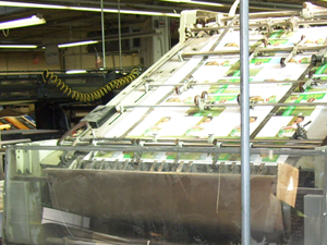 Bindery equipment in the SpringDot finishing department